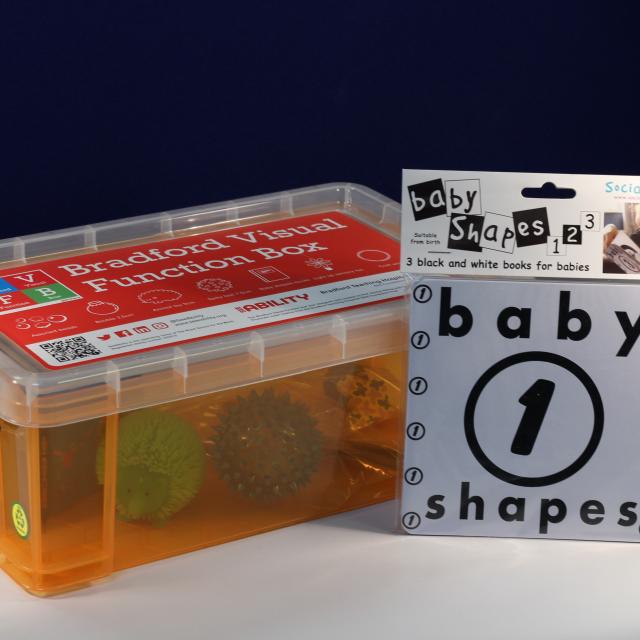 The Bradford Visual Function Box